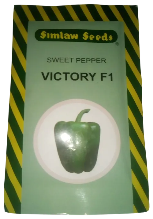 PEPPER CAPSICUM VICTORY F1 5GMS SIM
