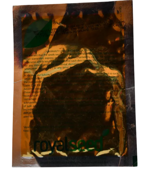 CABBAGE COPENHAGEN  10GMS ROYAL SEED