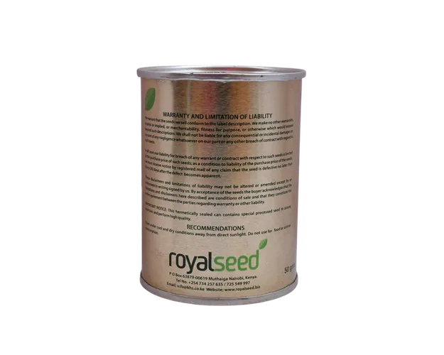 LEEKS ITALIAN GIANT 25GMS ROYAL SEED