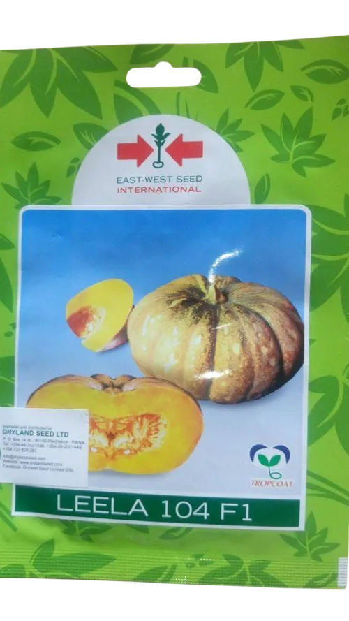 PUMPKIN LEELA F1 20SEEDS EWS DRYLAND