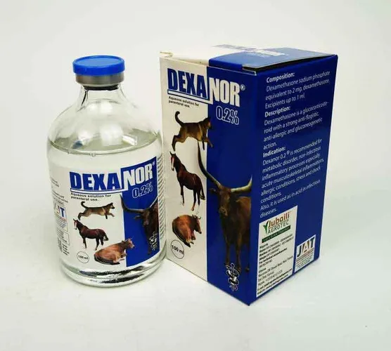 DEXANOR 0.2 INJ 100ML (dexamethasone) JUBAILI