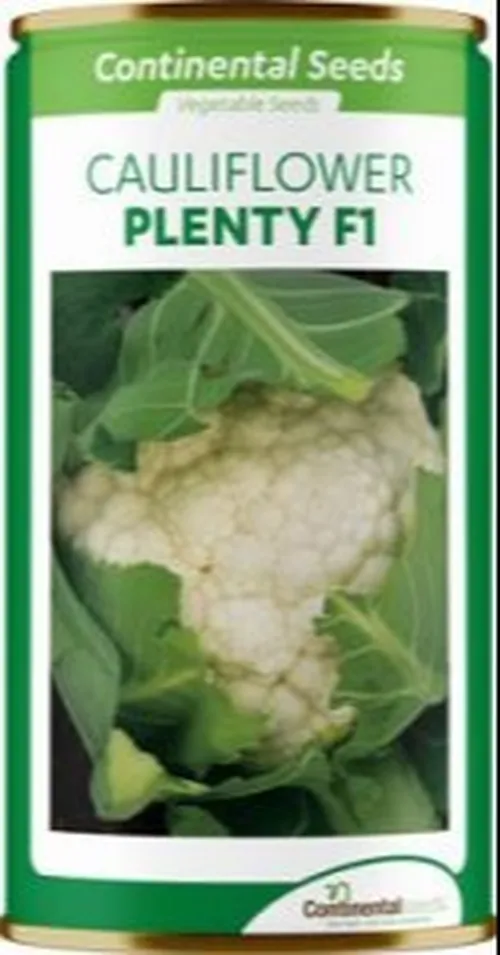 CAULIFLOWER PLENTY F1 2.5GMS CONTINENTAL