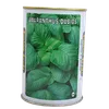 AMARANTHUS DUBIOUS 100GMS  SIM