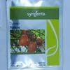 TOMATO RAFANO 2,500 SEEDS