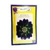S/C INDIAN PALAK 10GMS AGRISCOPE