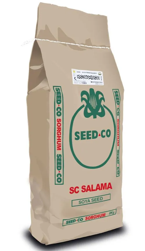 SOYA BEANS SC SALAMA 2KG