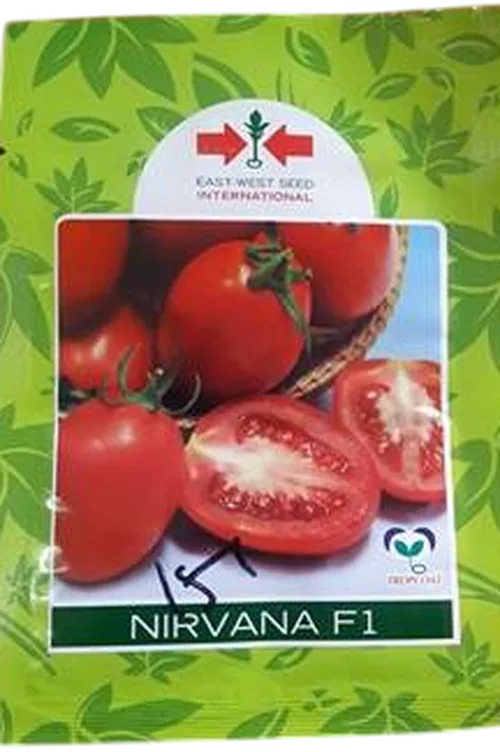 TOMATO NIRVANA F1 10GMS