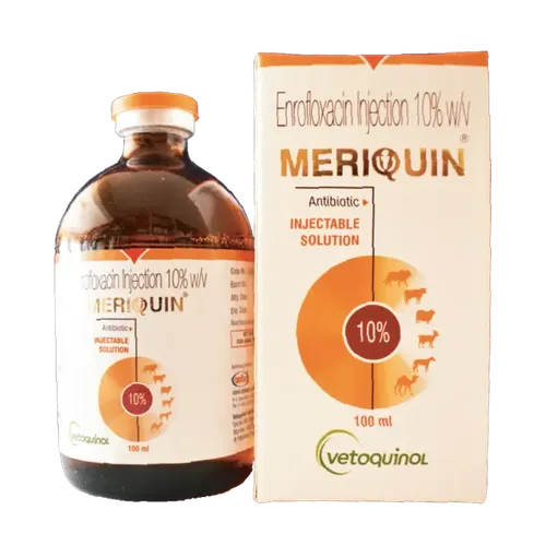 QUININTAS INJECTION 100ML (MERIQUIN)