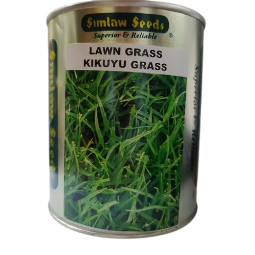 LAWN GRASS KIKUYU GRASS 500GMS