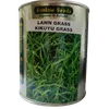 LAWN GRASS KIKUYU GRASS 500GMS