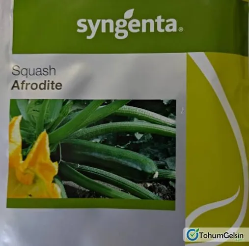 SQUASH AFRODITE F1 500SEEDS