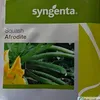 SQUASH AFRODITE F1 500SEEDS