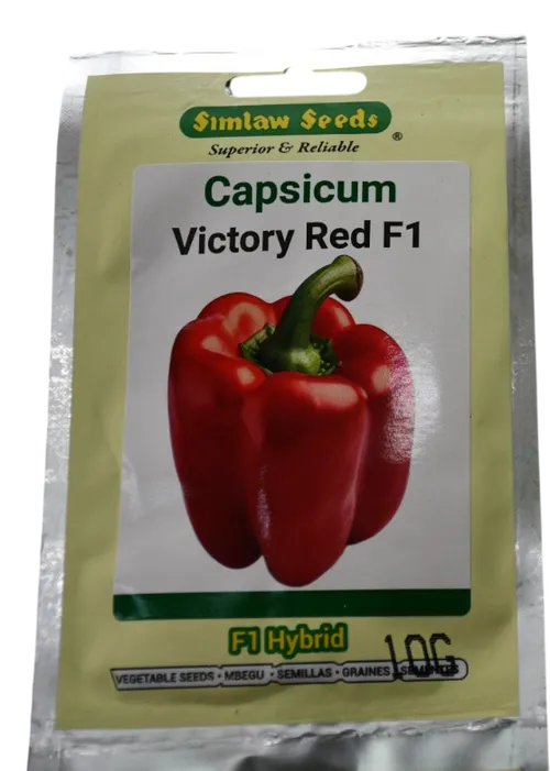 PEPPER VICTORY F1 YELLOW 10GMS SIM