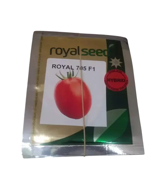 TOMATO ROYAL 705 F1 10GMS ROYAL SEED