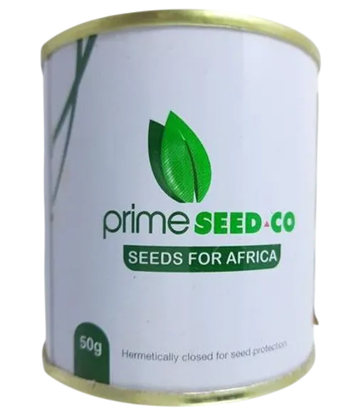 COLLARDS  25GM ELGON