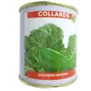 COLLARDS  25GM ELGON