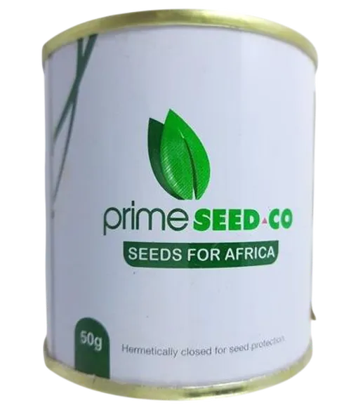 COLLARDS  50GM ELGON