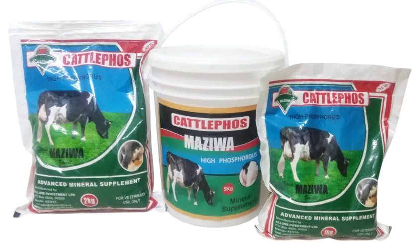 CATTLEPHOS MAZIWA 5KGS (BUCKET)