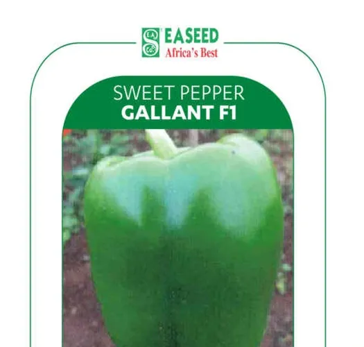 SWEET PEPPER GALANT F1 25GMS EA