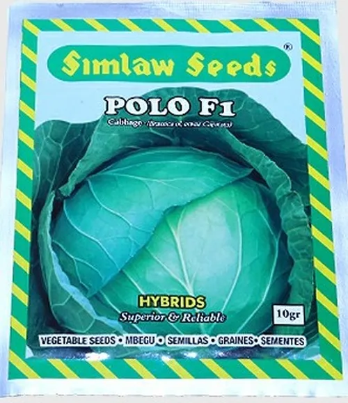 CABBAGE POLO F1 5GMS SIM