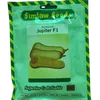 SQUASH JUPITER F1 10GMS SIM