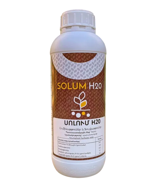 SOLUM H20 1LTR INORGANIC FOLIAR FERTILIZER