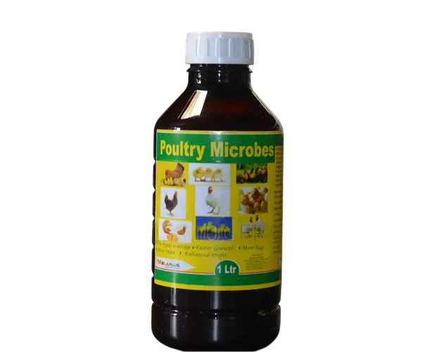 POULTRY MICROBES 500MLS MOLAPLUS