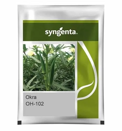 OKRA OH-102 F1 100GMS SYNGENTA