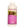 MATRINA-PE 1LTR