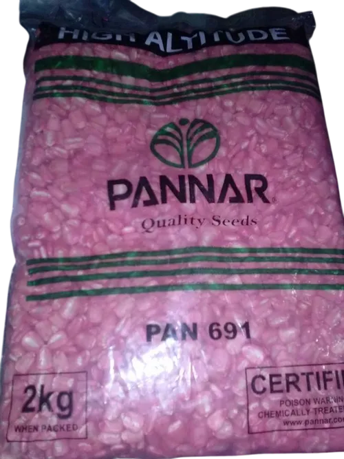 MAIZE PANNAR PAN691 2KGS