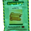 SQUASH JUPITER F1 25GMS SIM
