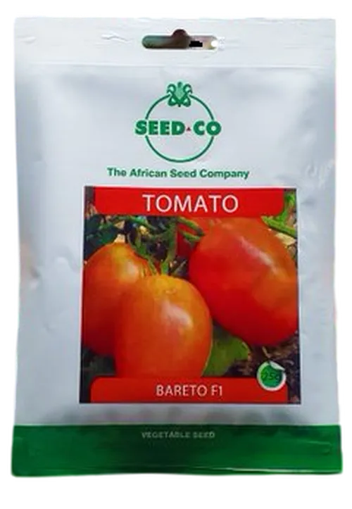 TOMATO BARETO  F1 10GMS SEEDCO