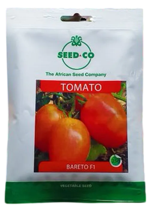 TOMATO BARETO F1 25GMS SEEDCO
