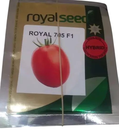 TOMATO ROYAL 705 25GMS ROYAL SEED