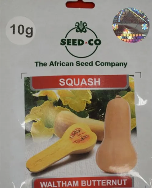 SQUASH BUTTERNUT 10GMS SEEDCO