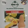 SQUASH BUTTERNUT 10GMS SEEDCO