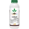 CODASAL COMPLEX 500MLS(calcium+magnesium)