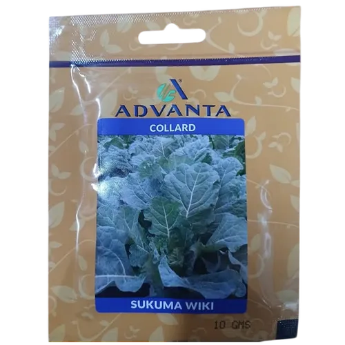 COLLARD SUKUMA WIKI 25GM ADVANTA