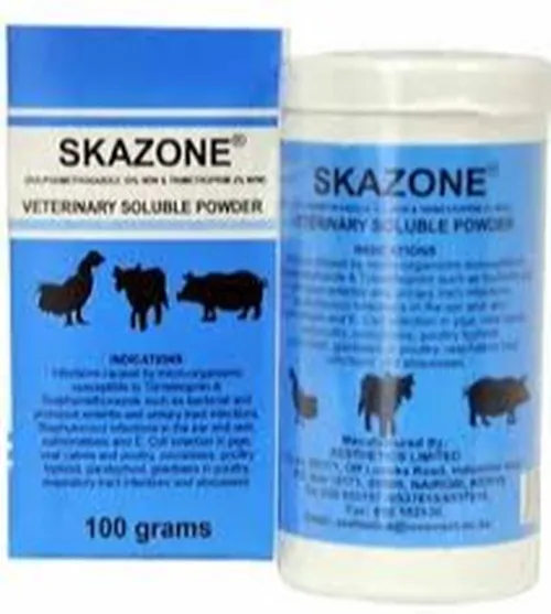 SKAZONE 100GMS AESTHETICS