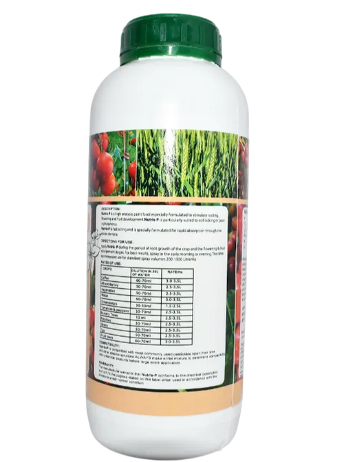 NUTRIS P 500MLS