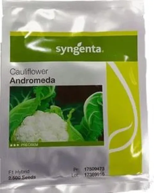 CAULIFLOWER ANDROMEDA 1000SEEDS SYNTA