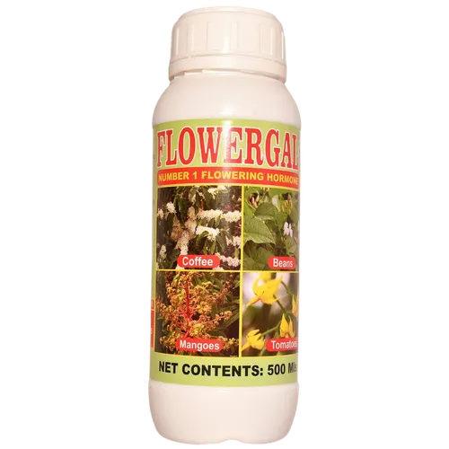 FLOWER GAL 500MLS