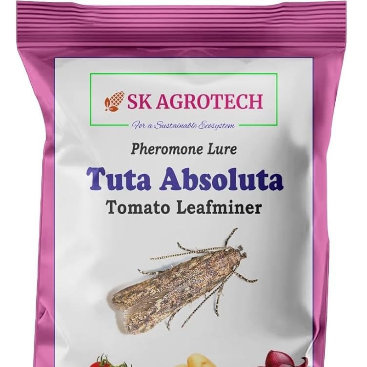 TUTA ABOSULTA HORMONE P214 LURE