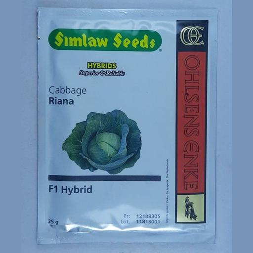 CABBAGE RIANA HYBRID 10GMS