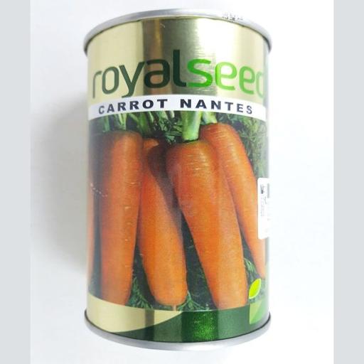 CARROT NANTES 100GM EA