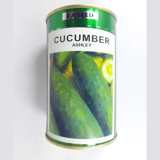 CUCUMBER ASHLEY   50GMS R