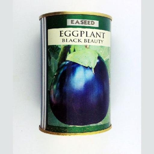 EGGPLANT B/BEAUTY   50GM EA