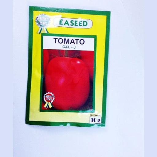 TOMATO CAL-J  10GMS EA