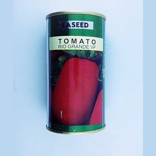 TOMATO RIO 100GMS EA