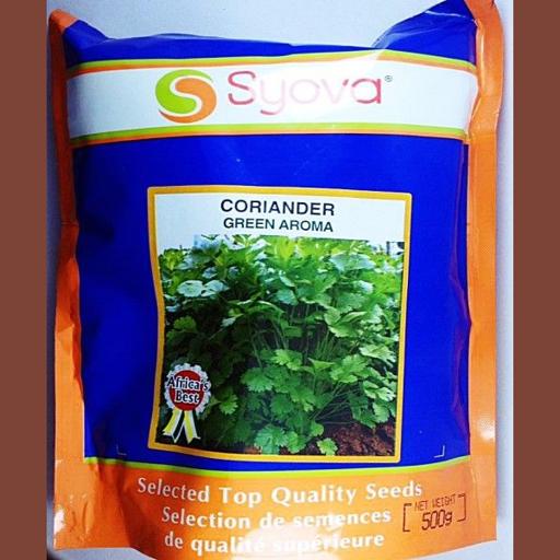 CORRIANDER DHANIA  500GM EA